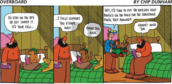 Overboard on Sunday December 13, 2015 Comic Strip
