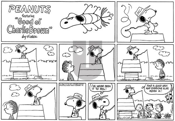 Peanuts on Sunday July 8, 1973 Comic Strip