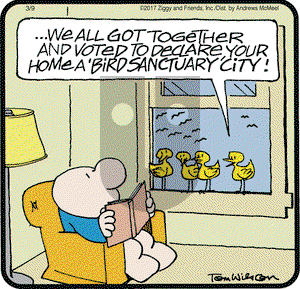 Ziggy on Thursday March 9, 2017 Comic Strip