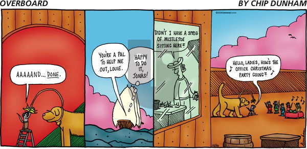 Overboard on Sunday December 20, 2009 Comic Strip