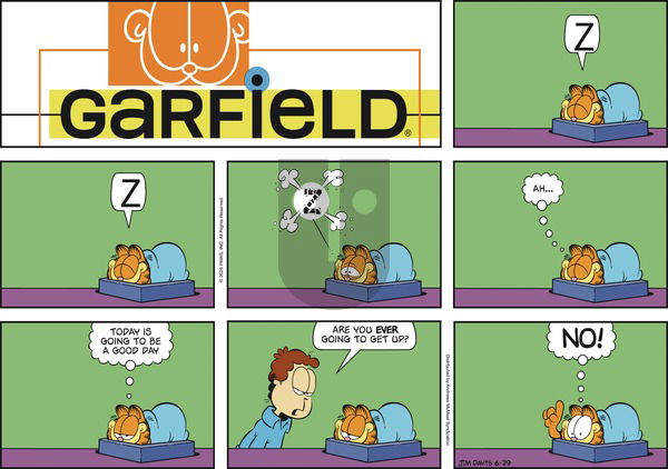 Garfield on Sunday June 29, 2025 Comic Strip