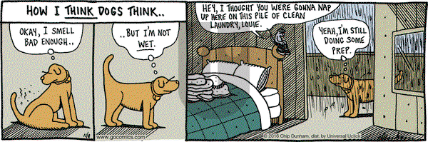 Overboard on Tuesday November 8, 2016 Comic Strip