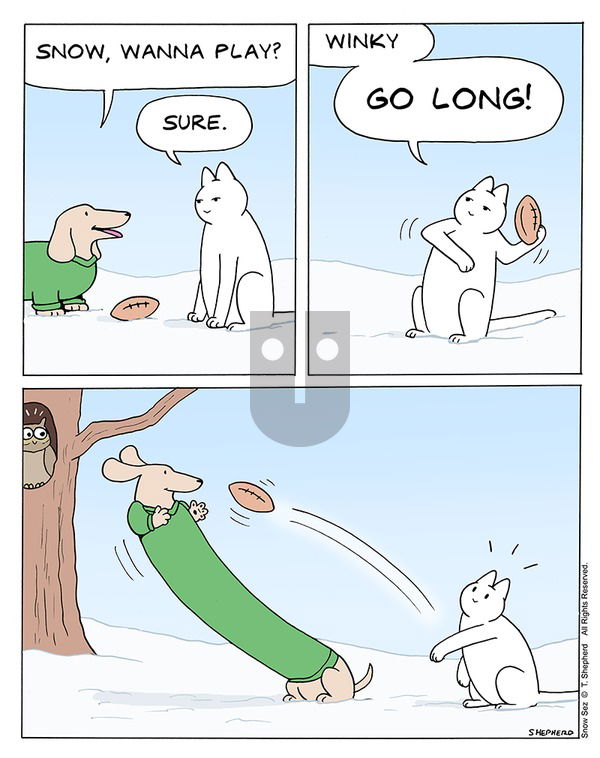 Snow Sez on Sunday February 11, 2024 Comic Strip