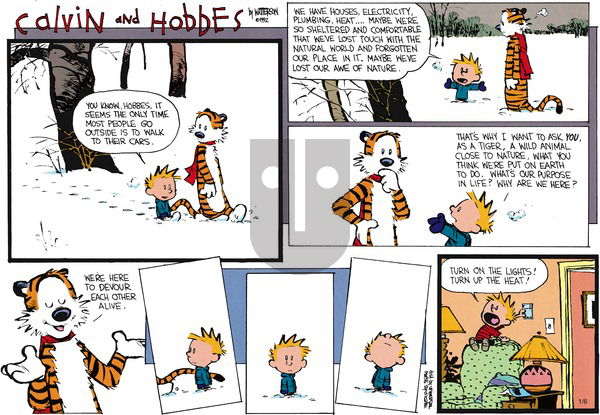 Calvin and Hobbes on Sunday February 23, 1992 Comic Strip