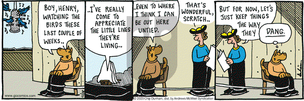 Overboard on Monday November 16, 2020 Comic Strip
