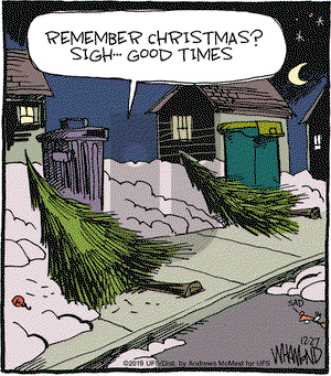 Reality Check on Friday December 27, 2019 Comic Strip