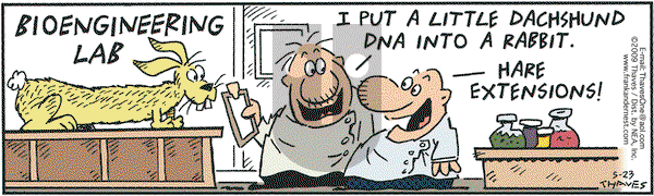 Frank and Ernest on Saturday May 23, 2009 Comic Strip