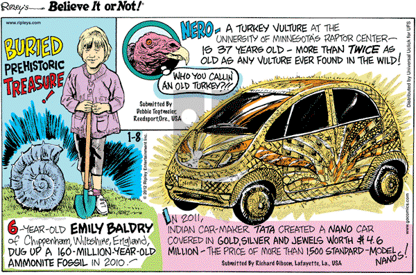 Ripley's Believe It or Not - Sunday January 8, 2012 Comic Strip