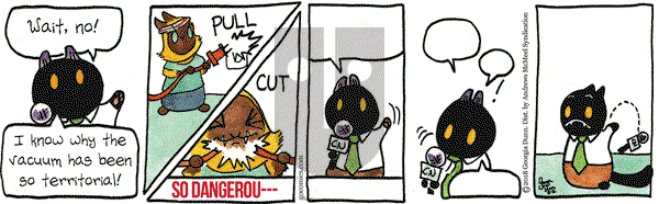 Breaking Cat News on Wednesday May 2, 2018 Comic Strip