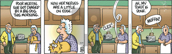 Pickles on Tuesday November 4, 2025 Comic Strip