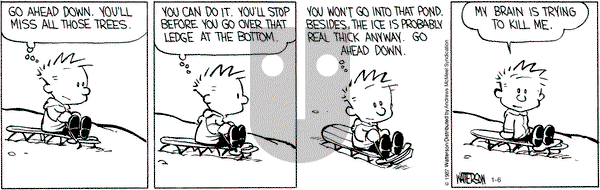 Calvin and Hobbes - Friday January 6, 2017 Comic Strip