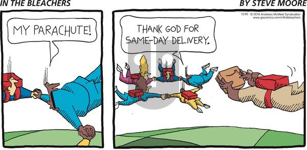 In the Bleachers on Sunday December 30, 2018 Comic Strip