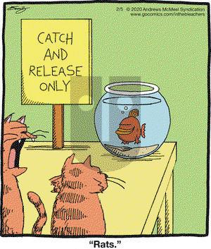 In the Bleachers on Wednesday February 5, 2020 Comic Strip