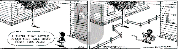 Nancy on Tuesday May 10, 1949 Comic Strip