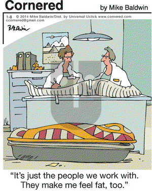 Cornered on Wednesday January 8, 2014 Comic Strip