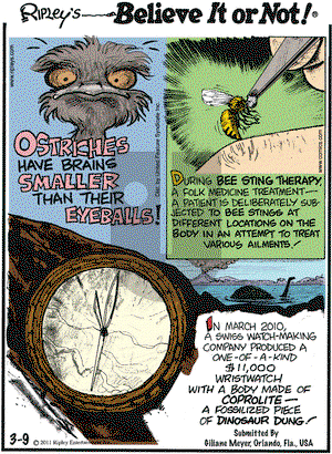 Ripley's Believe It or Not on Wednesday March 9, 2011 Comic Strip
