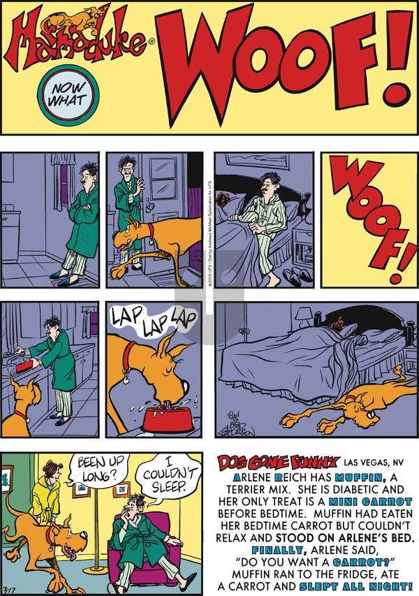 Marmaduke on Sunday March 17, 2019 Comic Strip