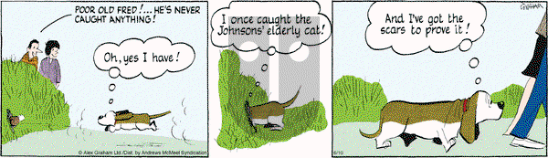 Fred Basset on Tuesday June 10, 2025 Comic Strip