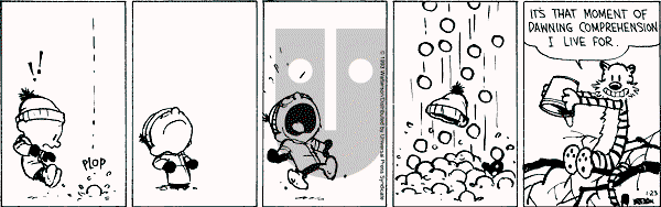 Calvin and Hobbes - Saturday January 23, 1993 Comic Strip