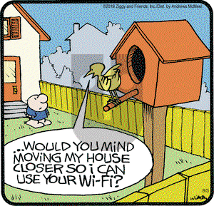 Ziggy on Saturday August 3, 2019 Comic Strip