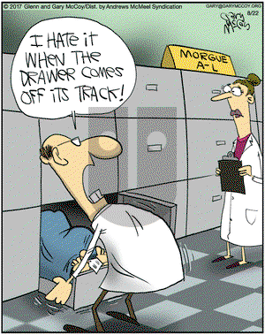 The Flying McCoys on Tuesday August 22, 2017 Comic Strip
