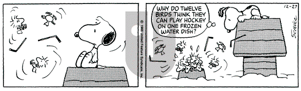 Peanuts on Tuesday December 27, 1988 Comic Strip
