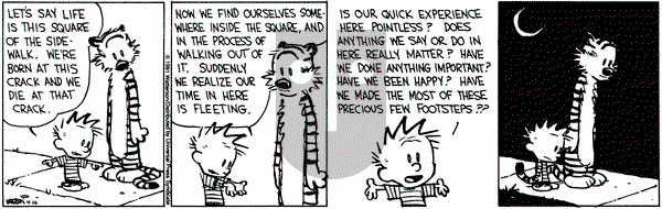 Calvin and Hobbes on Tuesday April 16, 1991 Comic Strip