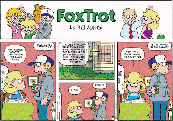 FoxTrot on Sunday May 15, 2005 Comic Strip