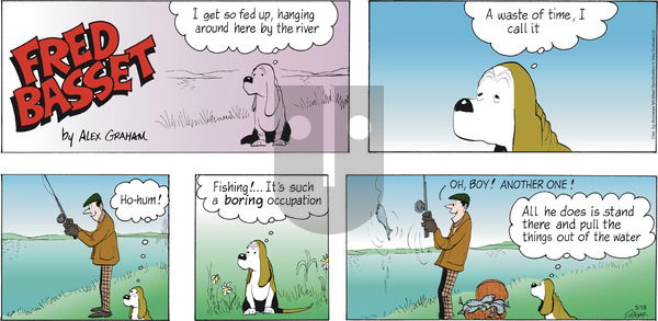 Fred Basset on Sunday May 18, 2025 Comic Strip