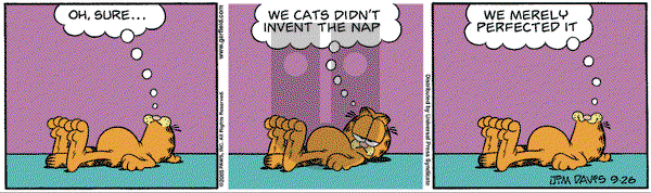 Garfield on Monday September 26, 2005 Comic Strip