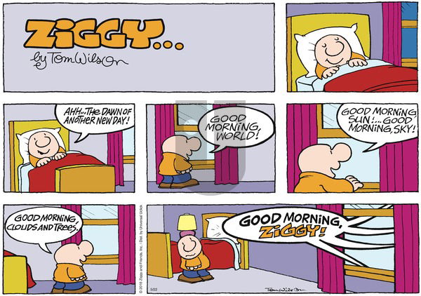 Ziggy on Sunday May 22, 2016 Comic Strip