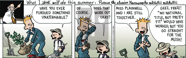 Frazz on Friday July 18, 2014 Comic Strip