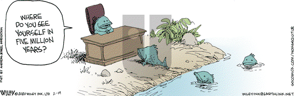 Non Sequitur on Wednesday February 19, 2020 Comic Strip