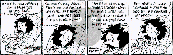 Baby Blues on Monday May 29, 1995 Comic Strip