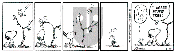 Peanuts on Friday June 19, 1998 Comic Strip