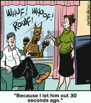 Marmaduke - Thursday November 7, 2024 Comic Strip