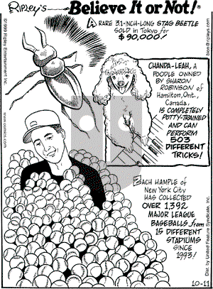 Ripley's Believe It or Not on Monday October 11, 1999 Comic Strip