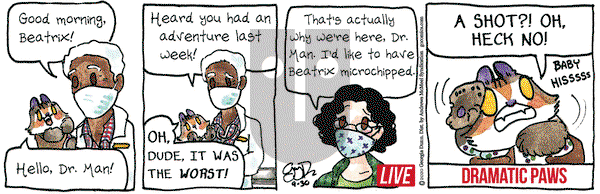 Breaking Cat News on Wednesday September 30, 2020 Comic Strip