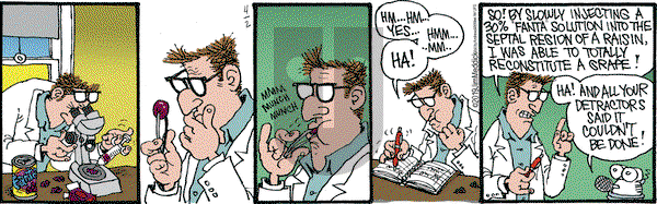 Monty on Tuesday April 2, 2019 Comic Strip