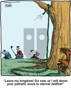 In the Bleachers on Saturday June 14, 2008 Comic Strip