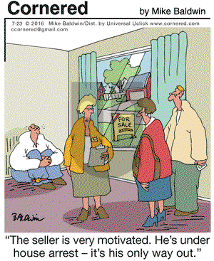 Cornered on Saturday July 23, 2016 Comic Strip