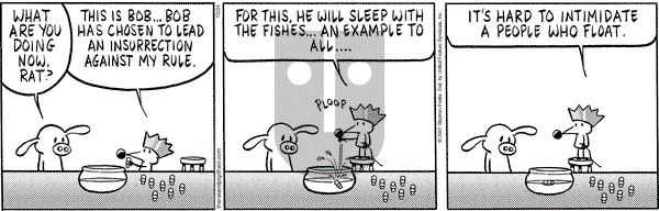 Pearls Before Swine on Wednesday October 24, 2007 Comic Strip