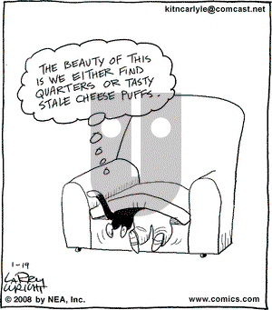 Kit 'N' Carlyle on Saturday January 19, 2008 Comic Strip