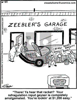 Close to Home - Saturday June 22, 2002 Comic Strip