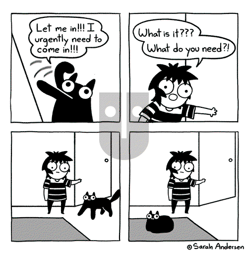 Sarah's Scribbles on Saturday May 18, 2024 Comic Strip