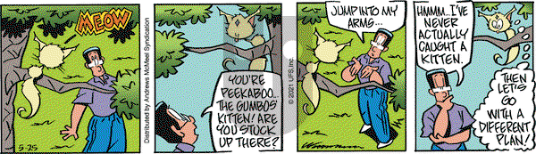 Rose is Rose on Tuesday May 25, 2021 Comic Strip