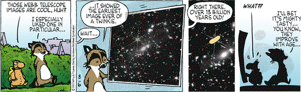 Over the Hedge - Saturday August 6, 2022 Comic Strip