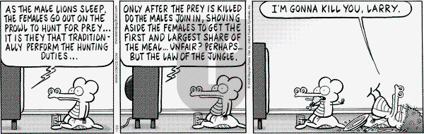 Pearls Before Swine - Wednesday January 23, 2008 Comic Strip