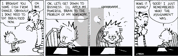 Calvin and Hobbes - Wednesday November 24, 1993 Comic Strip