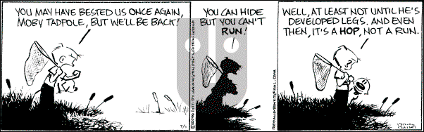 Red and Rover on Saturday July 1, 2006 Comic Strip